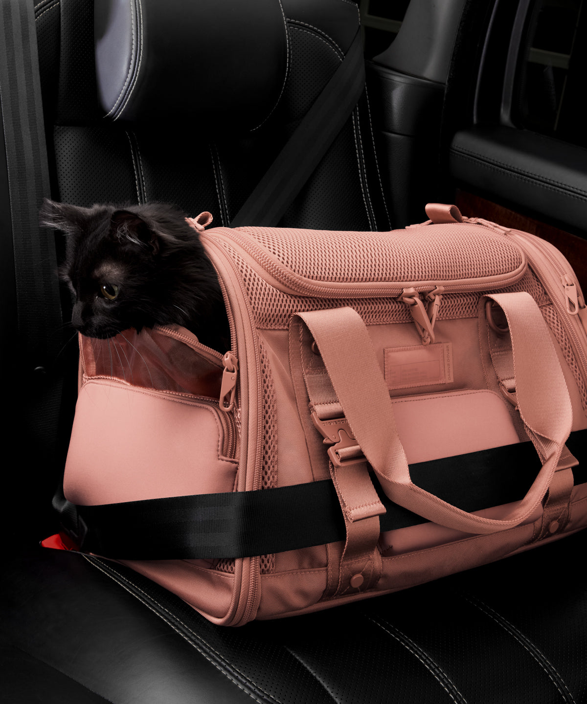 Kyoto Pet Carrier in Warm Dust. Large - Image 9